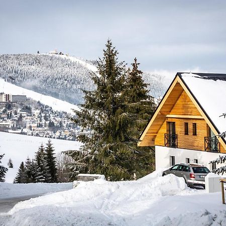 Ski Chalet Klinovec Лоучна-под-Кліновцем Екстер'єр фото