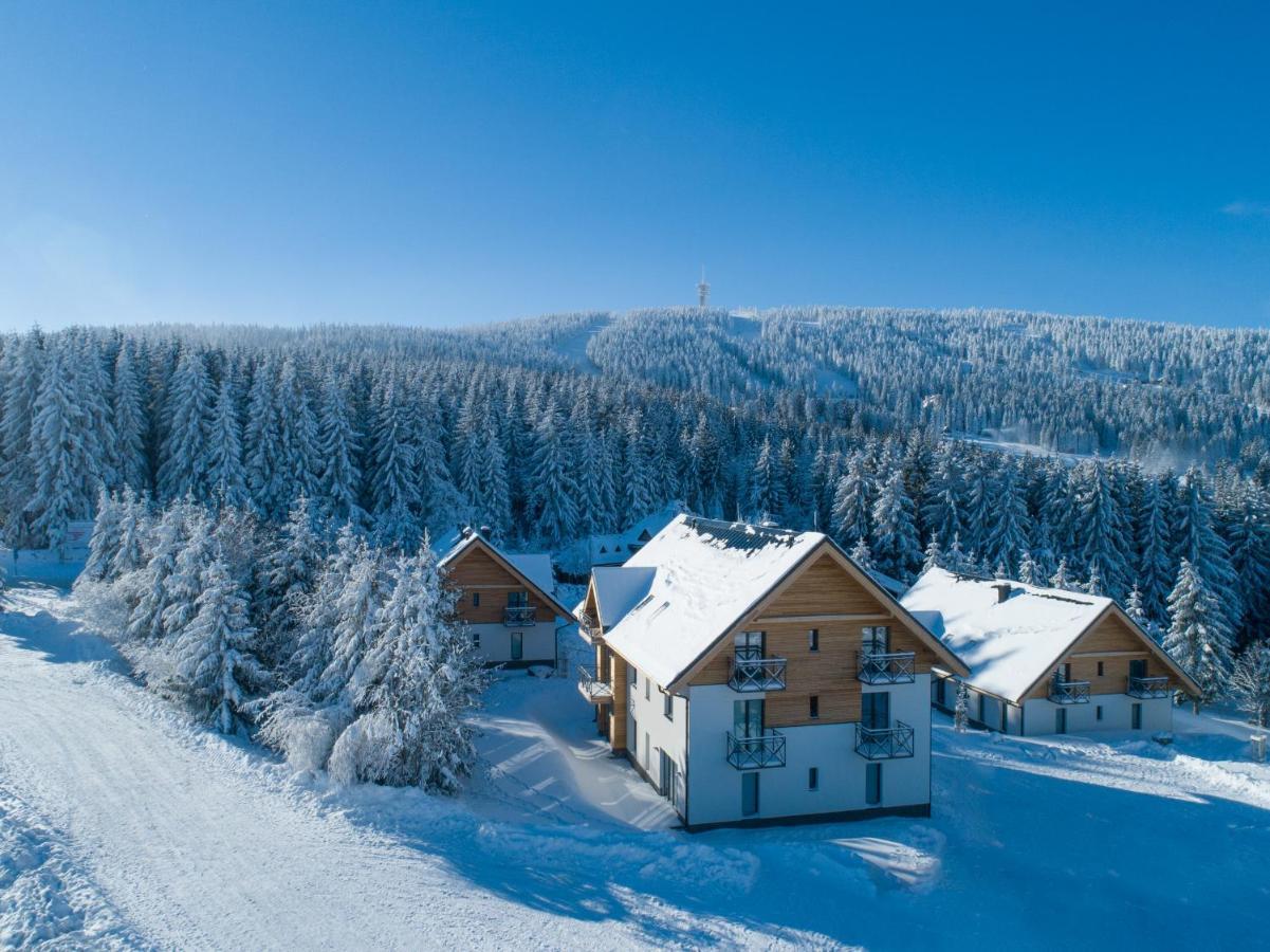 Ski Chalet Klinovec Лоучна-под-Кліновцем Екстер'єр фото