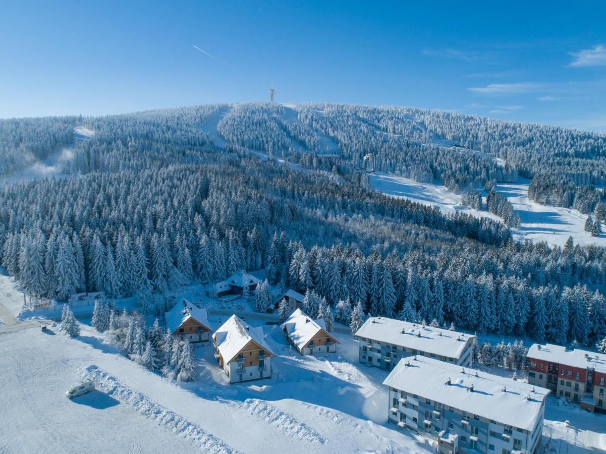 Ski Chalet Klinovec Лоучна-под-Кліновцем Екстер'єр фото