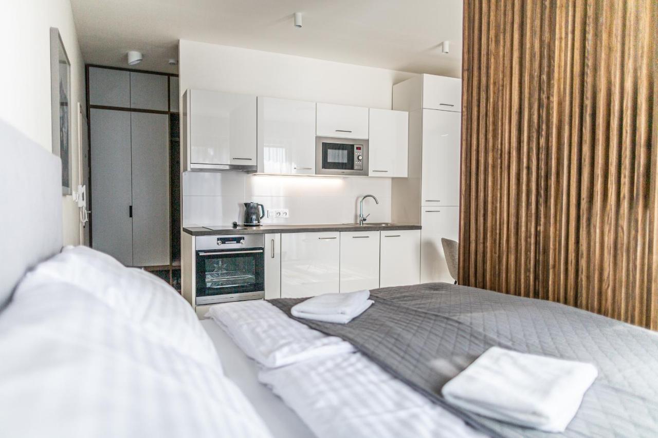 Ski Chalet Klinovec Лоучна-под-Кліновцем Екстер'єр фото