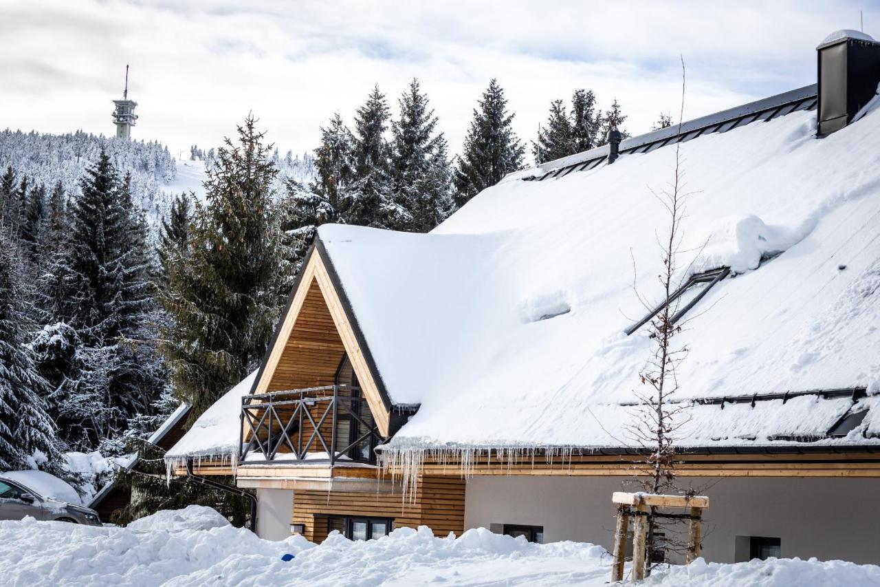 Ski Chalet Klinovec Лоучна-под-Кліновцем Екстер'єр фото