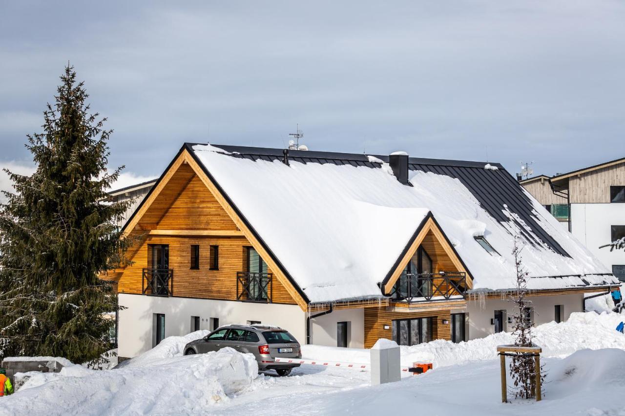 Ski Chalet Klinovec Лоучна-под-Кліновцем Екстер'єр фото