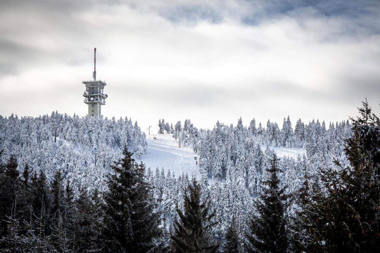 Ski Chalet Klinovec Лоучна-под-Кліновцем Екстер'єр фото