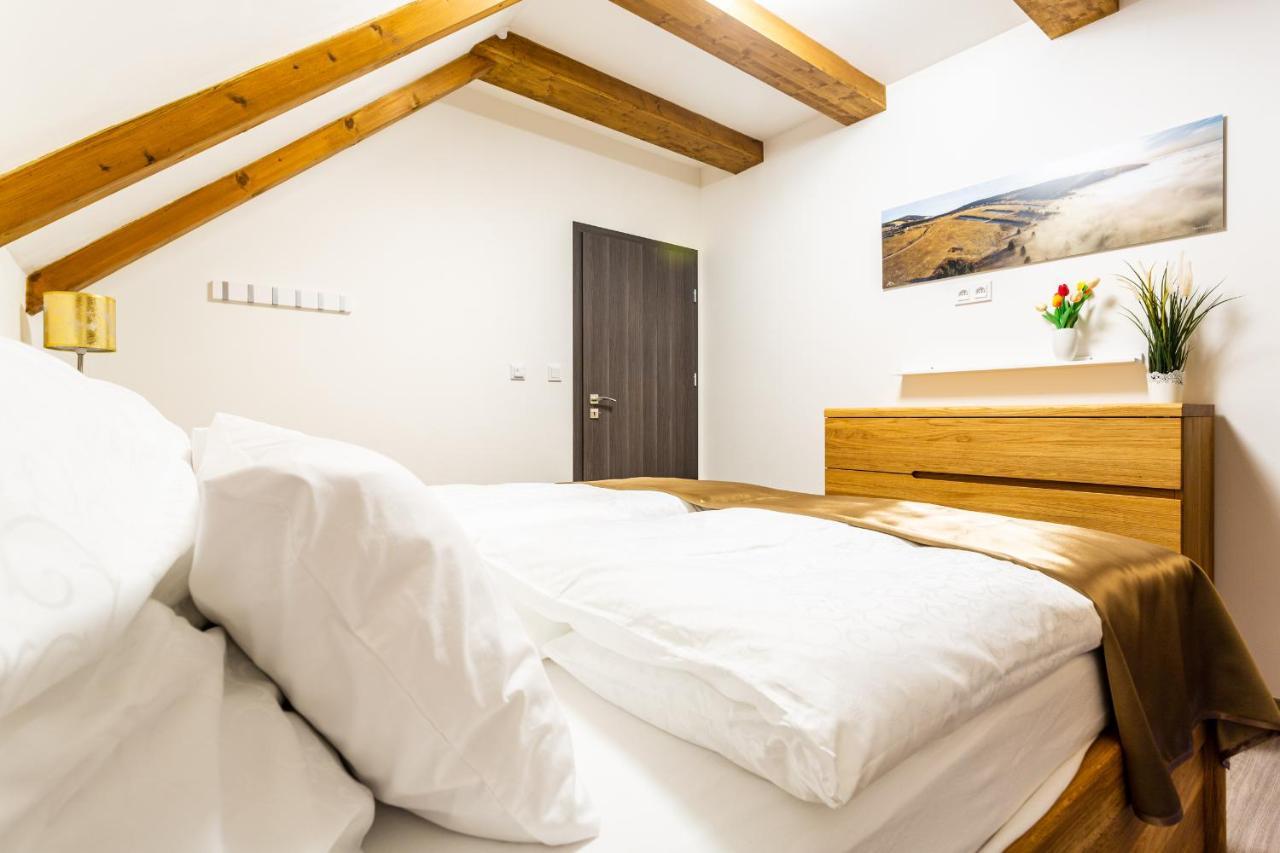 Ski Chalet Klinovec Лоучна-под-Кліновцем Екстер'єр фото
