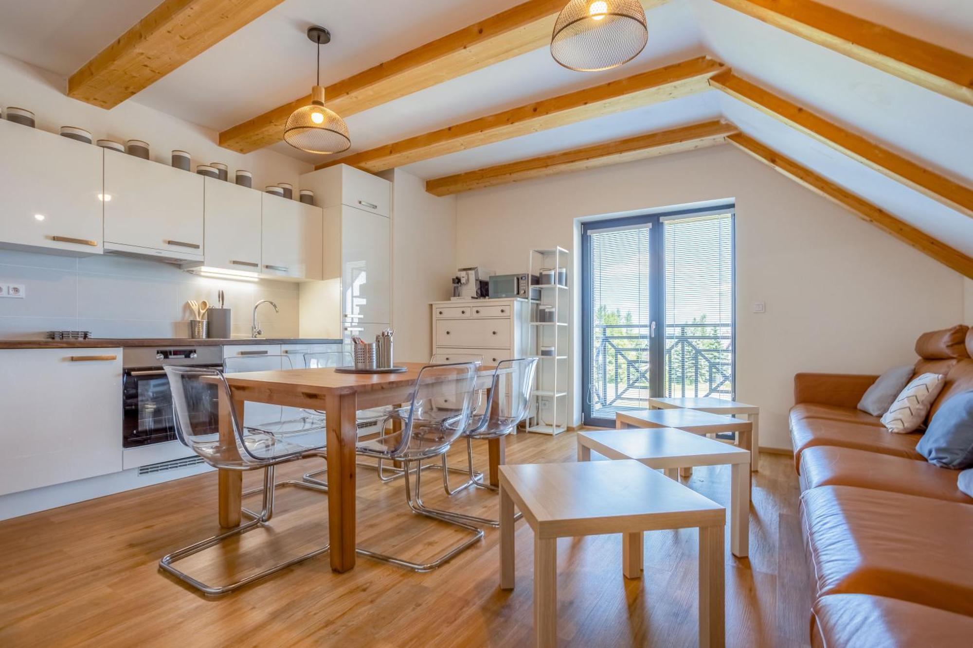 Ski Chalet Klinovec Лоучна-под-Кліновцем Екстер'єр фото